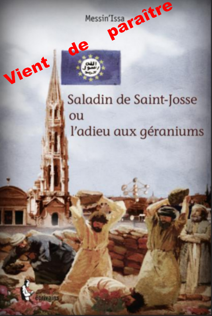 Couverture du roman "Saladin de Saint-Josse ou l'adieu aux géraniums"